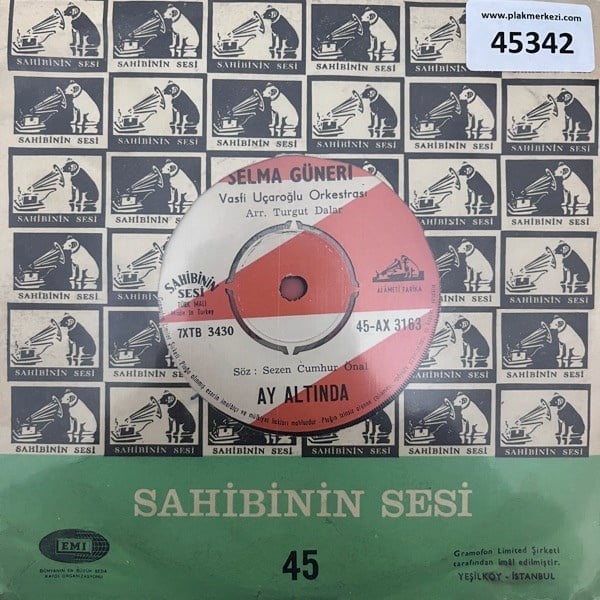 selma-guneri-ay-altinda-dugun-aksami-v-2-dc4d.jpg
