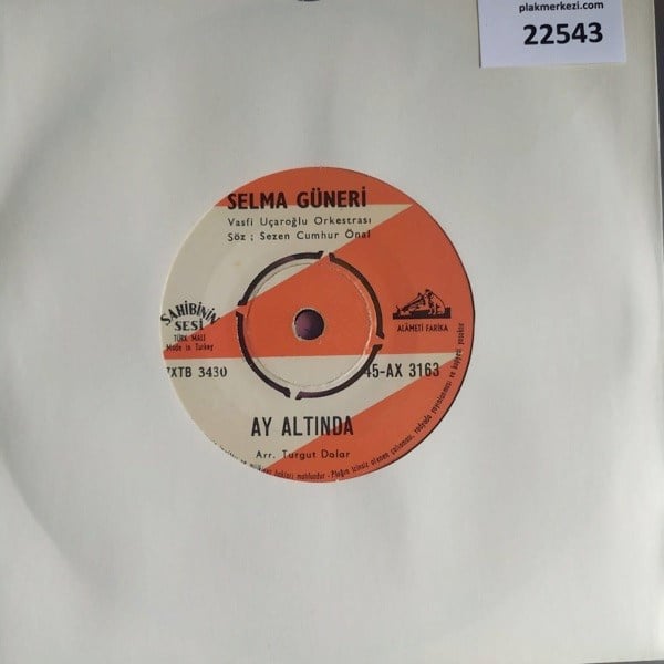 selma-guneri-ay-altinda-dugun-aksami-v-2b6fa8.jpg