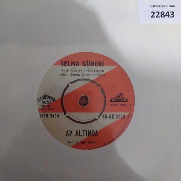 selma-guneri-ay-altinda-dugun-aksami-v-6e-49d.jpg