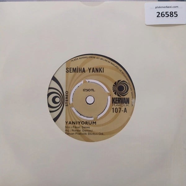 semihe-yanki-yaniyorum-kara-sevda-tr45-2-ed0f.jpg