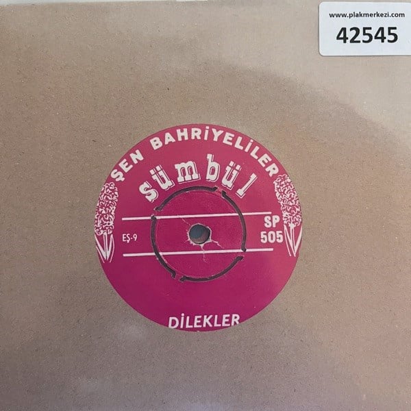 sen-bahriyeliler-dilekler-mini-maksi-t-1ac-46.jpg