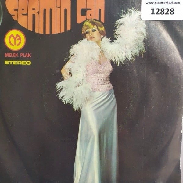sermin-can-herseyim-benim-bu-masalar-b-2-407b.jpg
