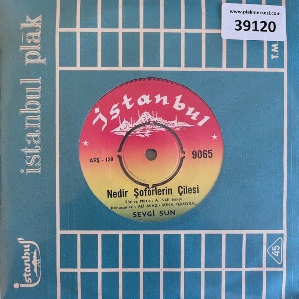 sevgi-sun-nedir-soforlerin-cilesi-tenh-b-a6c1.jpg