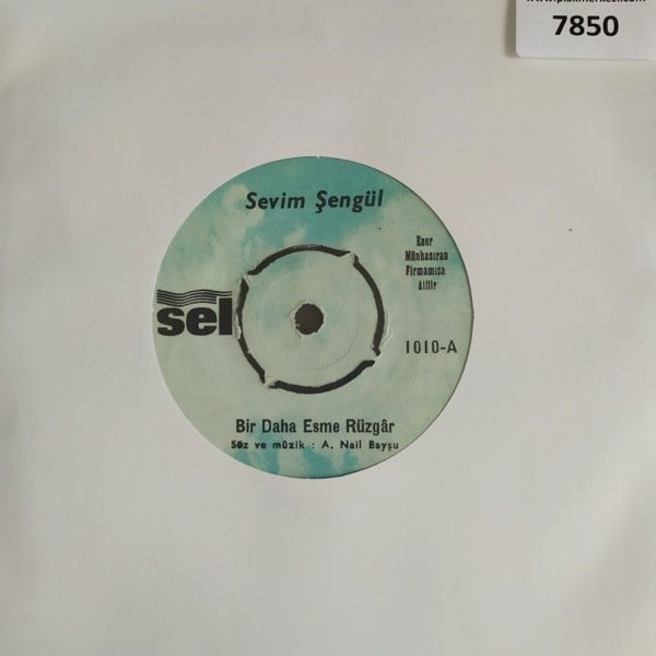 sevim-sengul-bir-daha-esme-ruzgaruzme--b6-880.jpg