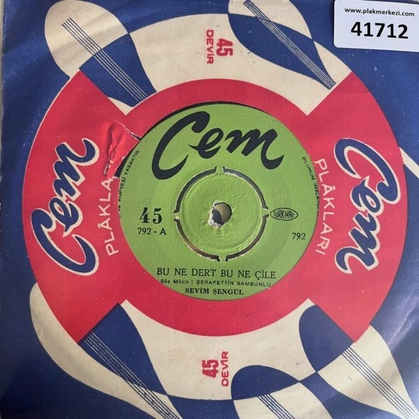 sevim-sengul-bu-ne-dert-bu-ne-cile-yol-73-d56.jpg