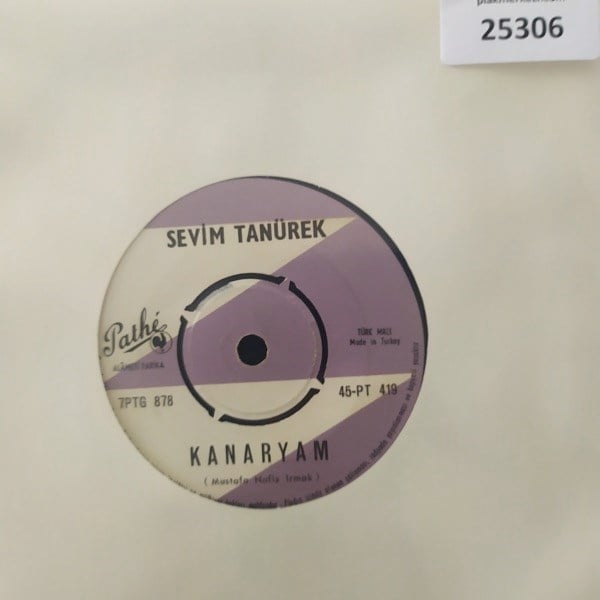 sevim-tanurek-kanaryam-nihansin-didede-394-43.jpg