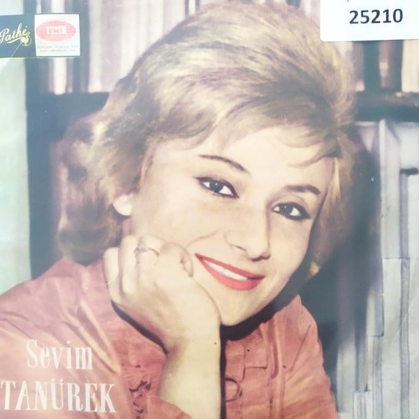 sevim-tanurek-kirilmis-bir-gul-dali-ha-a-b583.jpg