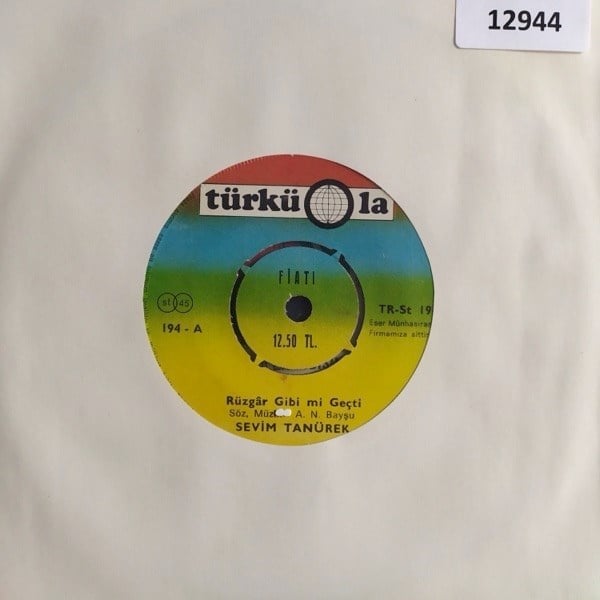 sevim-tanurek-ruzgar-gibi-mi-gecti-ask--4e1c-.jpg