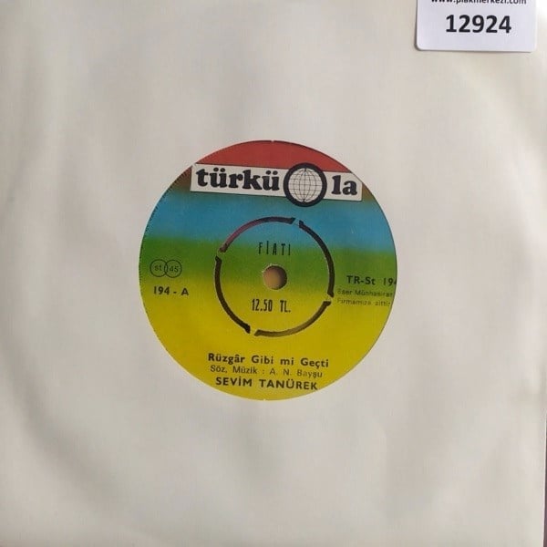 sevim-tanurek-ruzgar-gibi-mi-gecti-ask-7-4166.jpg