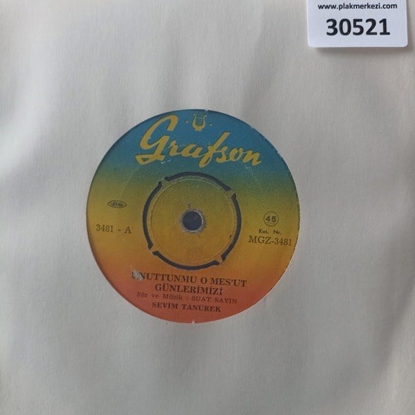 sevim-tanurek-unuttunmu-o-mesut-gunler-482239.jpg
