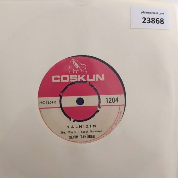 sevim-tanurek-yalnizim-gozyasimi-iciyo-f98-b7.jpg