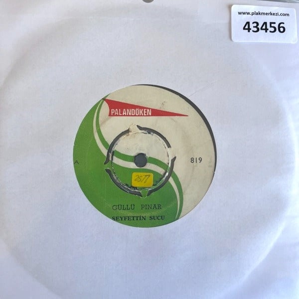 seyfettin-sucu-gullu-pinar-kader-tr45k-3be-cc.jpg