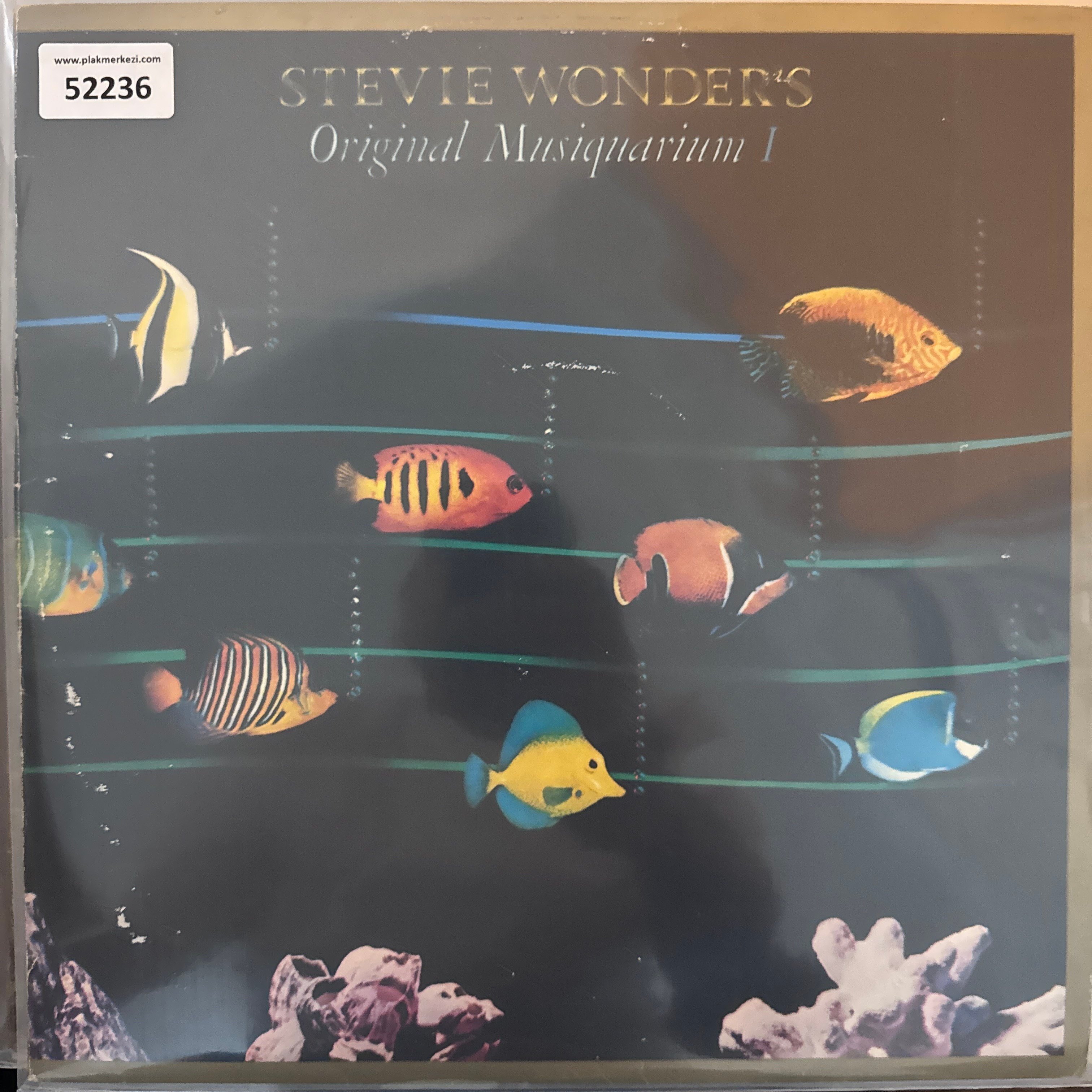 stevie-wonder-original-musiquarium-1-1-e9ef7c.jpg