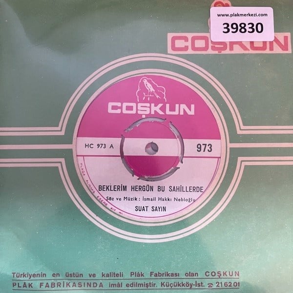 suat-sayin-beklerim-hergun-bu-sahiller--9877-.jpg