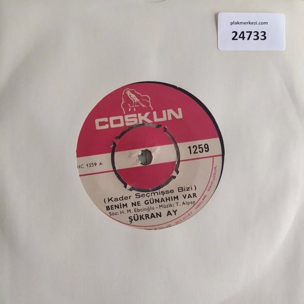 sukran-ay-benim-de-gunahim-var-seni-se-73b-9a.jpg