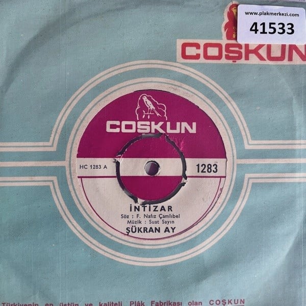 sukran-ay-intizar-yok-artik-tahammulu--7-7e17.jpg