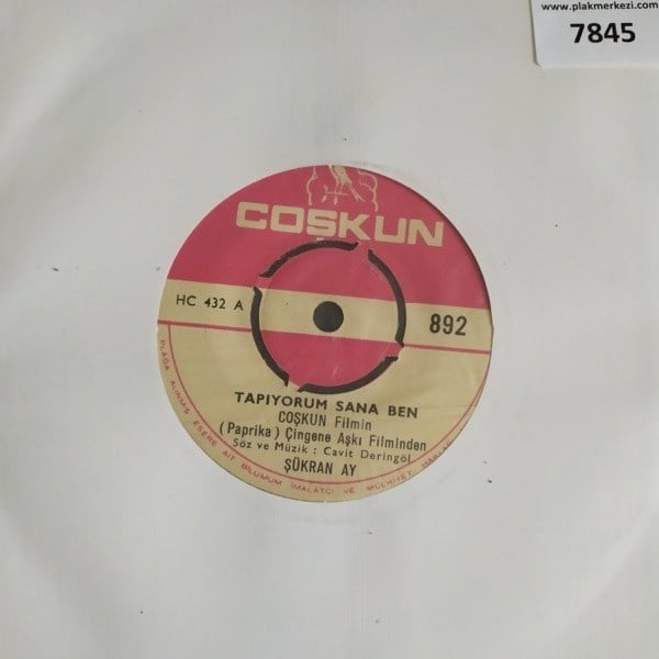 sukran-ay-tapiyorum-sana-benkim-derdi--b0-40d.jpg