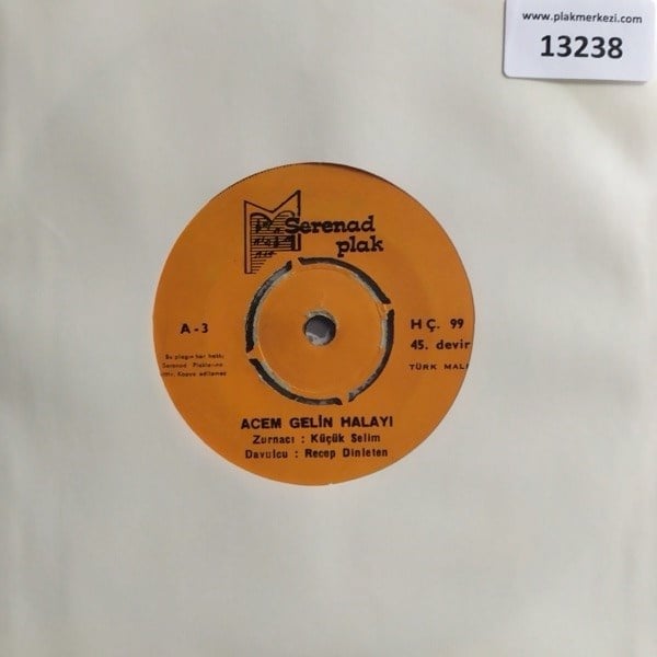 tarsuslu-kucuk-selim-acem-gelin-halayi-084-68.jpg