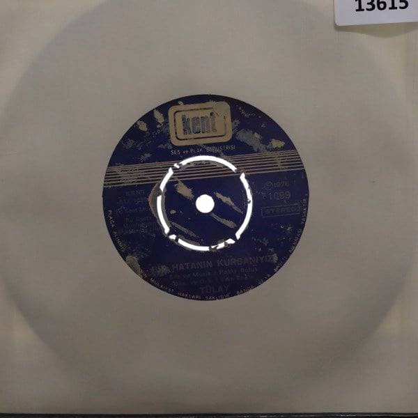 tulay-bir-hatanin-kurbaniyizoldurecekl-9b97-2.jpg