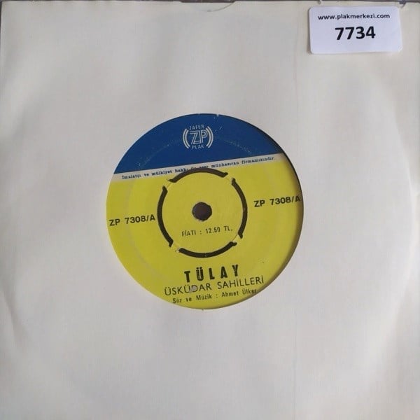 tulay-uskudar-sahillerio-cinarin-dibin-52b4-1.jpg
