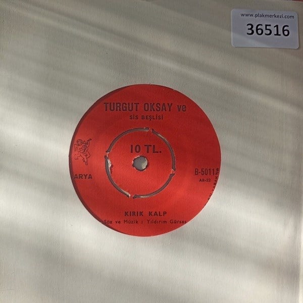 turgut-aksoy-ve-sis-beslisi-kirik-kalp-ecbd93.jpg