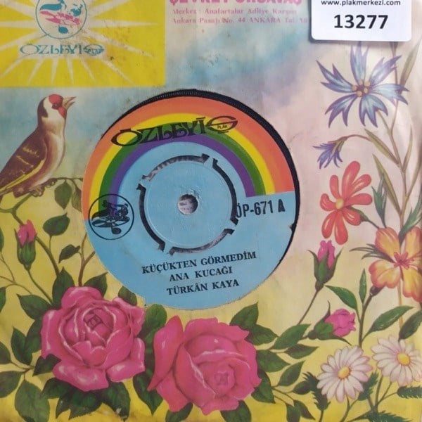turkan-kaya-kucukken-gormedim-ana-kuca-82bdc1.jpg
