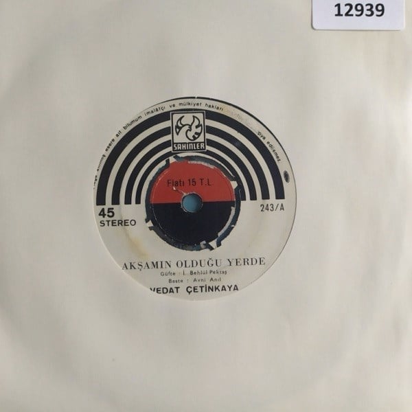 vedat-cetinkaya-aksamin-oldugu-yerde-a--bc5c-.jpg