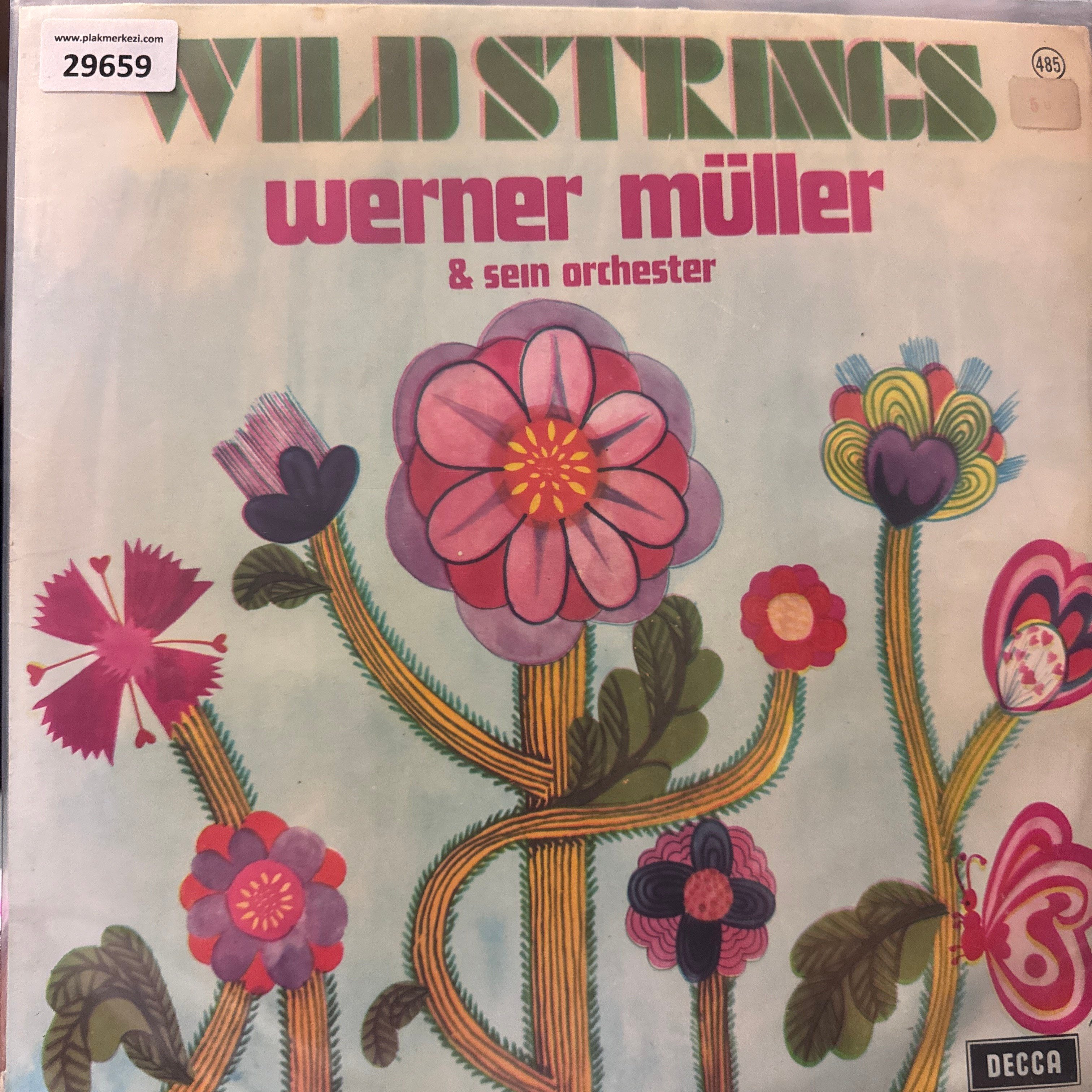 werner-muller-wild-strings-donem-turki-1329-1.jpg