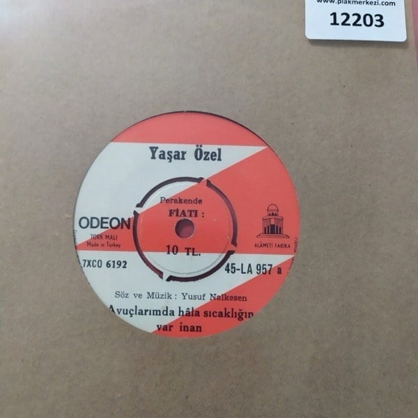 yasar-ozel-avuclarimda-hala-sicakligin--8dfd-.jpg