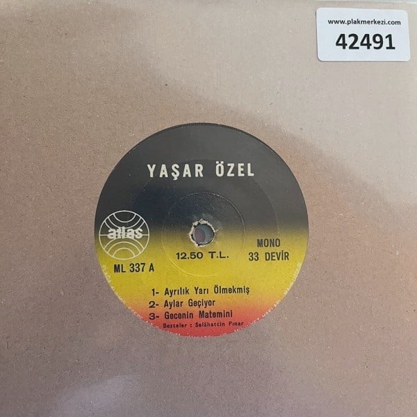 yasar-ozel-ayrilik-yari-olmekmis-aylar--4231-.jpg