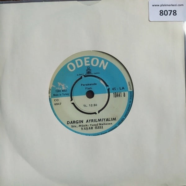 yasar-ozel-dargin-ayrilmayalimdusenin--a94ccf.jpg