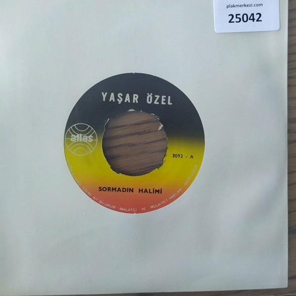 yasar-ozel-sormadin-halimi-yalniz-beni-51da-4.jpg