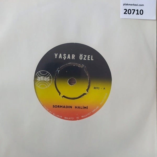 yasar-ozel-sormadin-halimi-yalniz-beni-61570d.jpg