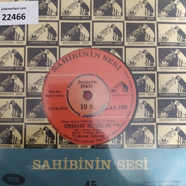 yildirim-gurses-son-bahar-ruzgarlari-e-014-9e.jpg