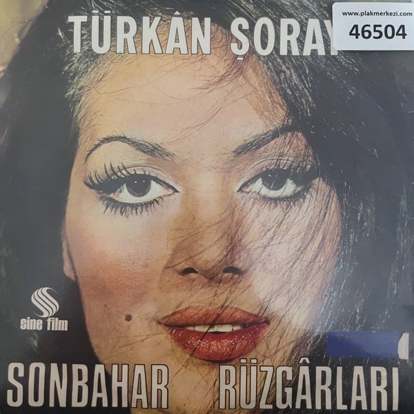 yildirim-gurses-sonbahar-ruzgarlari-es-4e0d0-.jpg