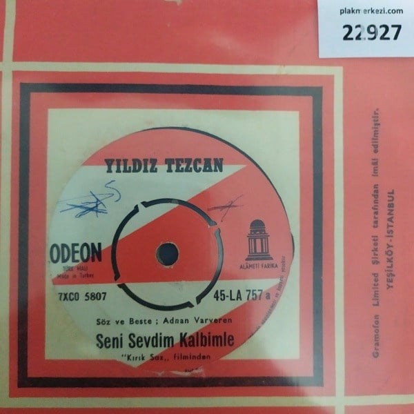 yildiz-tezcan-seni-sevdim-kalbimle-kir-993-48.jpg