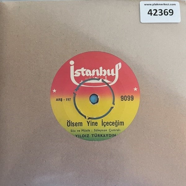 yildiz-turkaydin-olsem-yine-icecegim-a-d3edc8.jpg