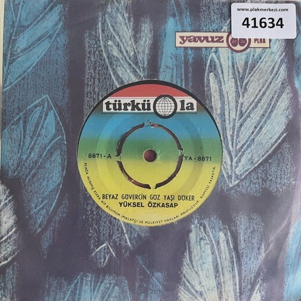 yuksel-ozkasap-beyaz-guvercin-goz-yasi-d0-ccf.jpg