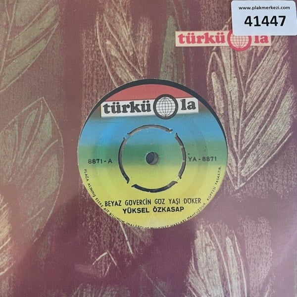yuksel-ozkasap-beyaz-guvercin-goz-yasi-df-aed.jpg