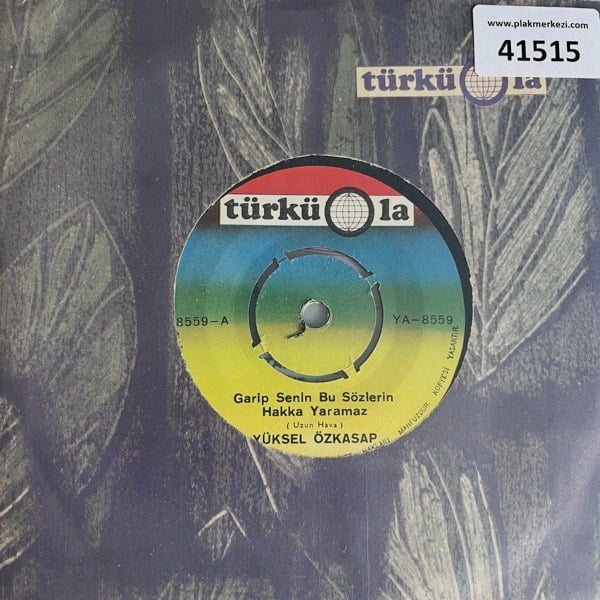 yuksel-ozkasap-garip-senin-bu-sozlerin-83f1e7.jpg