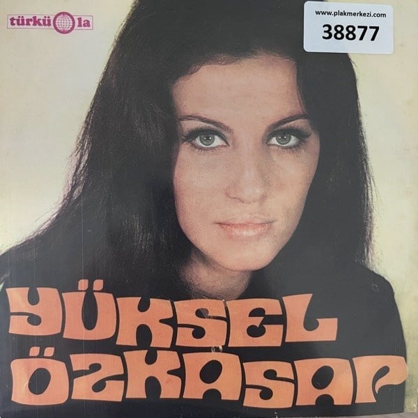 yuksel-ozkasap-kara-kocum-makinem-maki-b263-f.jpg