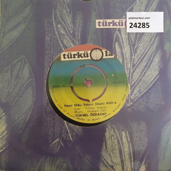 yuksel-ozkasap-nasil-oldu-yolum-dustu--6d05aa.jpg