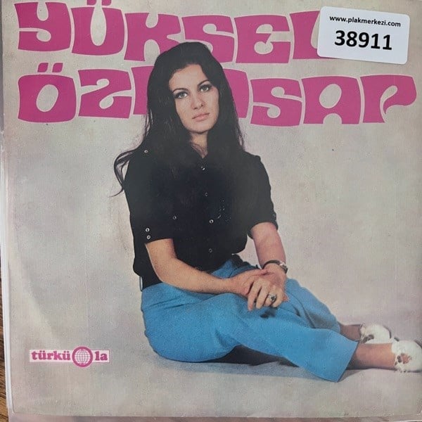 yuksel-ozkasap-turkiyeme-bir-ben-donem-fa2b8a.jpg