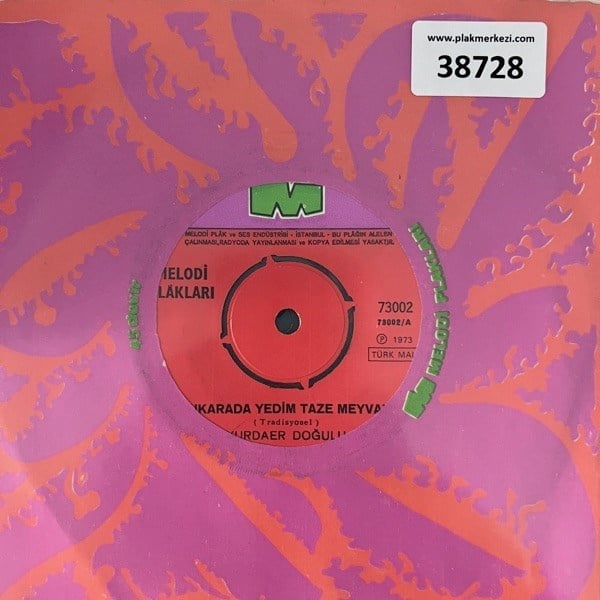 yurdaer-dogulu-ankarada-yedim-taze-mey-769028.jpg