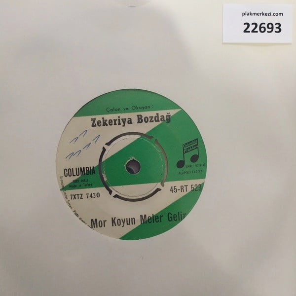 zekeriya-bozdag-mor-koyun-meler-gelir---4e01-.jpg