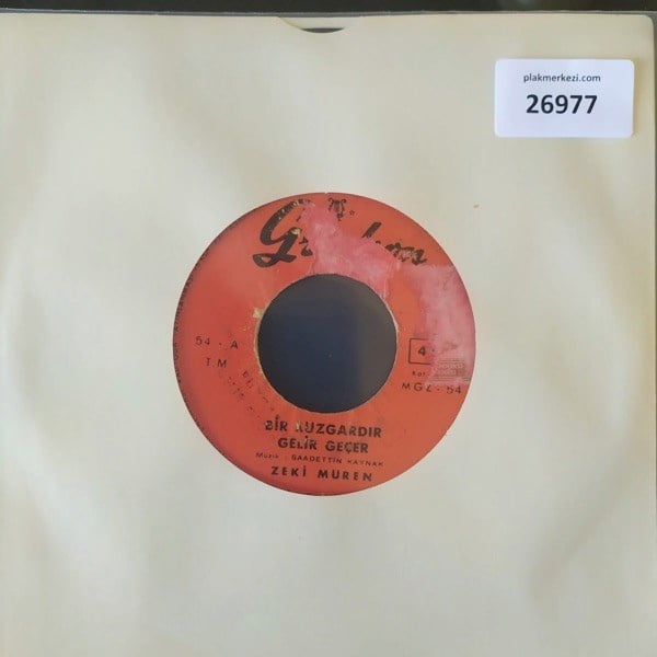 zeki-muren-bir-ruzgardir-gelir-gecer-b--d415-.jpg