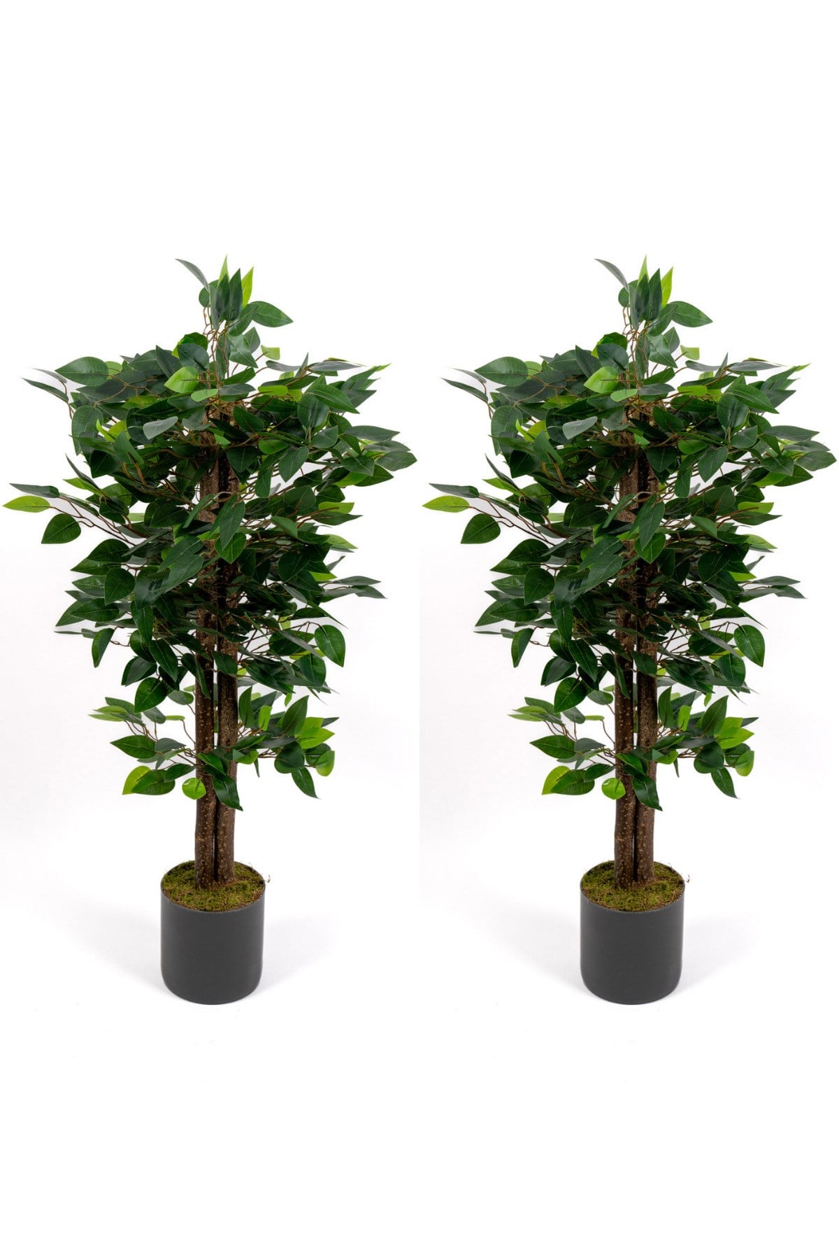 2’li Yapay Benjamin Ağacı Seti – 100 cm Gri Saksılı Dekoratif Salon & Ofis Bitkisi