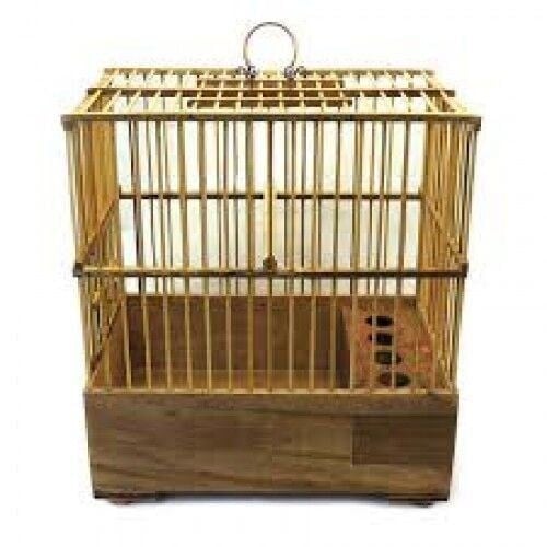 bambu-saka-kafes-17x28x32-cm-ahsap-kaf-062-f2.jpg