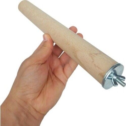 getreide-buyuk-papagan-tunegi-25-cm-36--74556.jpg