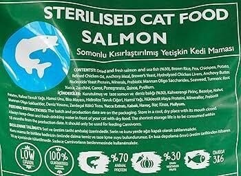 mystic-sterilsed-kisir-somonlu-kedi-ma-4586bd.jpg